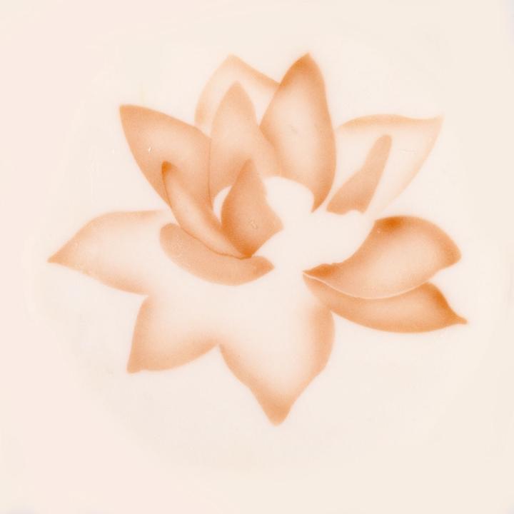 Image du produit Martellato Pochoir Airbrush Fleur de lotus