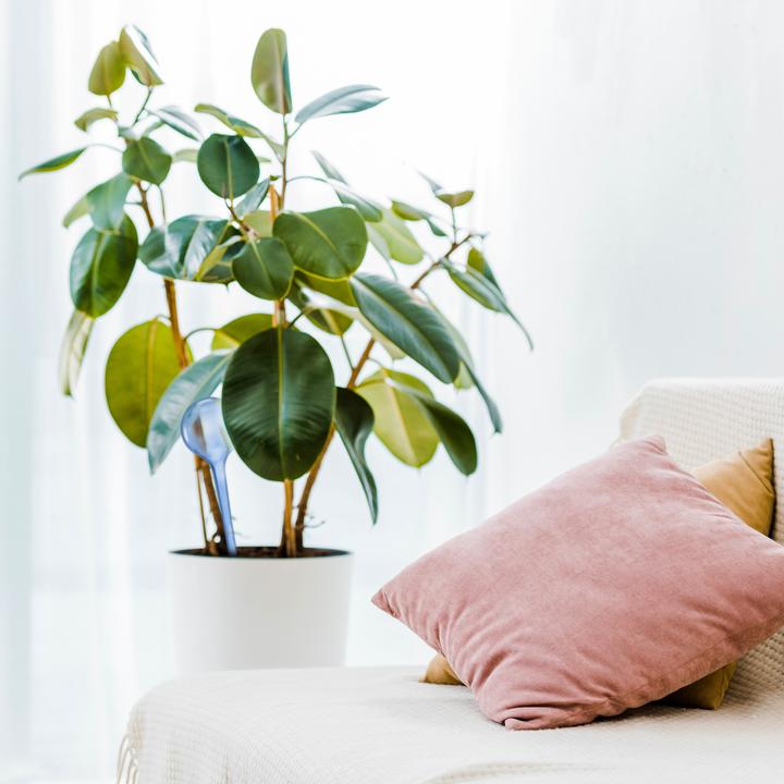 Produktbild Relaxdays 5x Bewässerungskugel (Bewässerungskugeln)