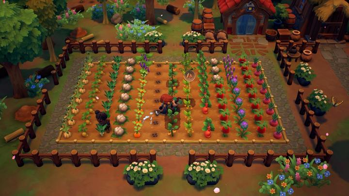 Immagine prodotto Nintendo Fattoria Fae (Switch, Switch Lite, Switch OLED, DE)