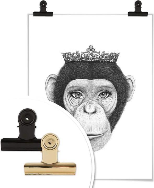 Immagine prodotto Trenddeko La regina scimmia (120 x 150 cm)