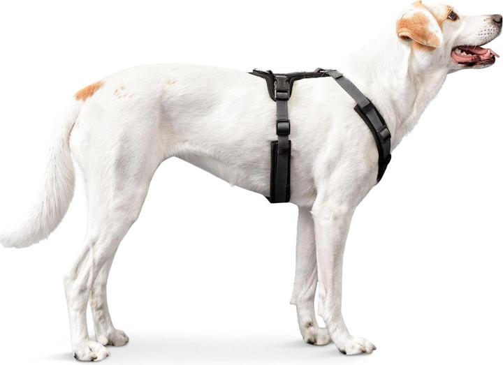 Immagine prodotto Hunter Stoviglie Maldon (XS, Cane, Generale)