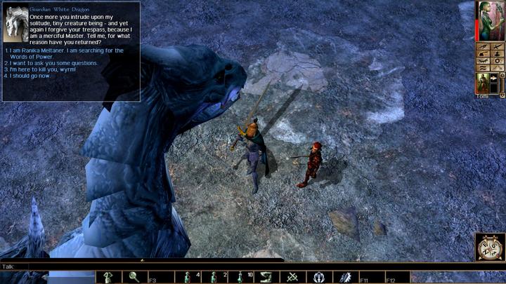 Actual product image Bioware Neverwinter Nights 108092 (PS4, EN)