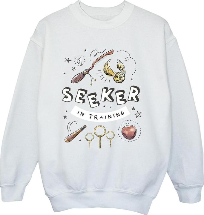 Image du produit - Sweat SEEKER IN TRAINING - Garçon (116)