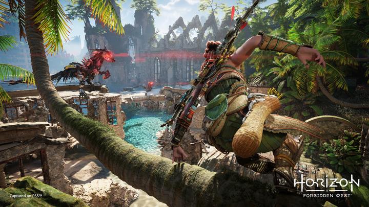 Produktbild Sony Horizon: Forbidden West Standard Multilingual PlayStation 4 (PS4, FR)