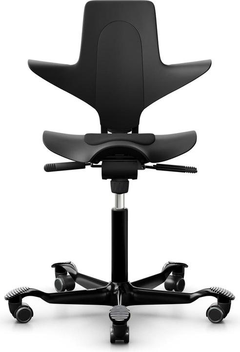 Actual product image HAG Capisco Puls