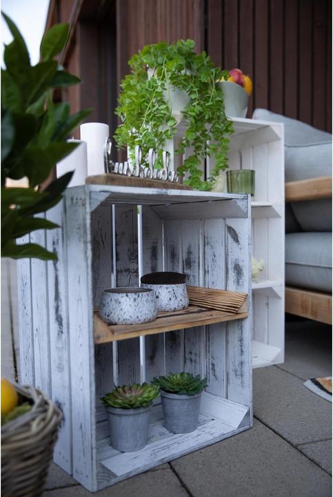 Produktbild Botanic-Haus Eukalyptus (58 cm)