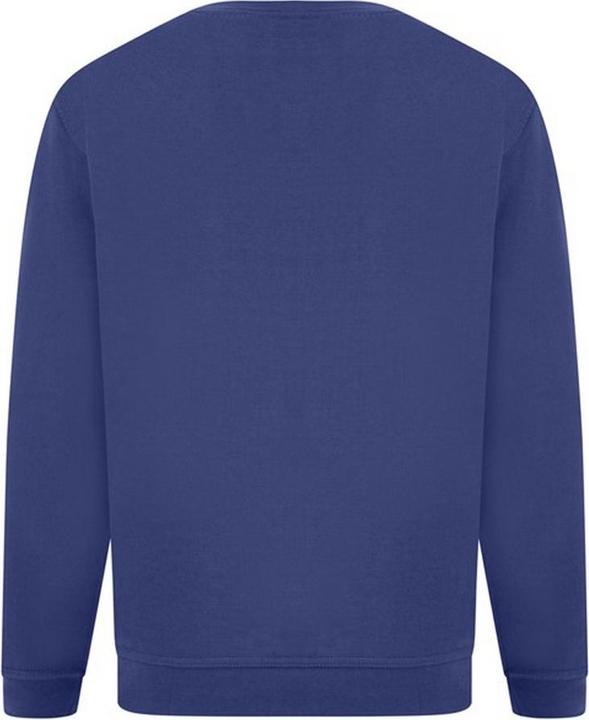 Image du produit Absolute Apparel Pull-over Sterling (3XL)