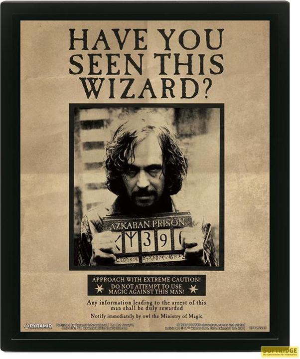 Immagine prodotto Pyramid Harry Potter: Harry Potter - Sirius Black Wanted 3D (26 x 20 cm)
