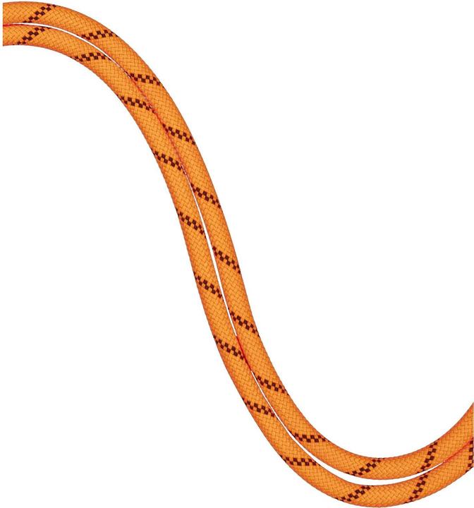 Immagine prodotto Mammut 8.7 Trasmettitore alpino a secco (70 m)