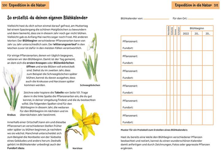 Image du produit Kosmos Was blüht denn da? Kindernaturführer (Allemand, Heike Herrmann, Ursula Stichmann-Marny, 2022)