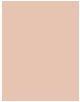 Actual product image Estée Lauder Double Wear (1C1 Cool Bone)