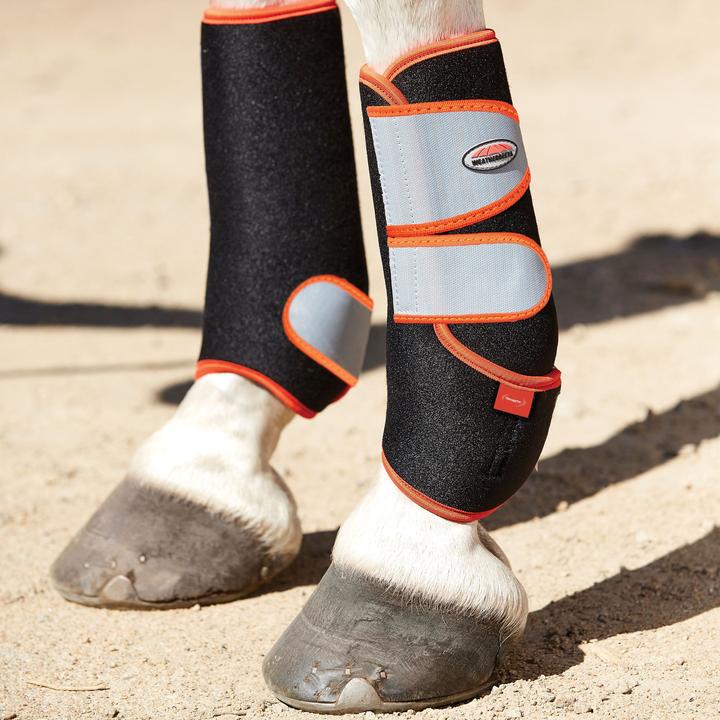 Actual product image Weatherbeeta Therapy-Tec