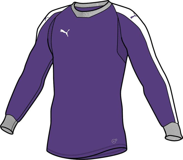 Produktbild Puma Liga Gk Jersey Jr (140)