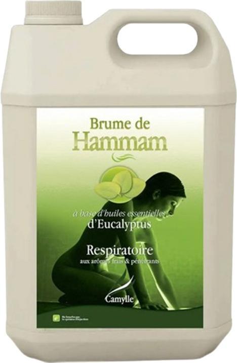 Produktbild Camylle Hammam-Nebel Eucalyptus 5L
