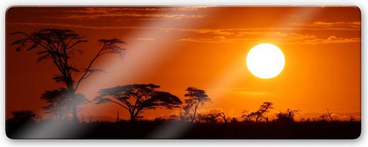 Immagine prodotto Trenddeko Panorama della steppa africana (120 x 50 cm)