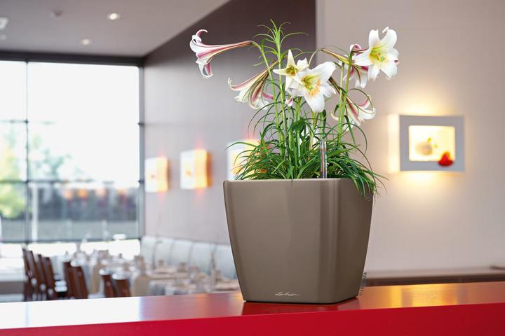 Produktbild Lechuza Quadro LS (35.50 cm)