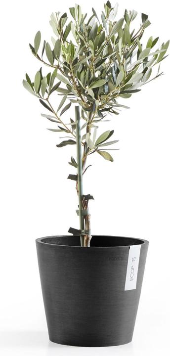 Immagine prodotto Ecopots Amsterdam (20 cm)