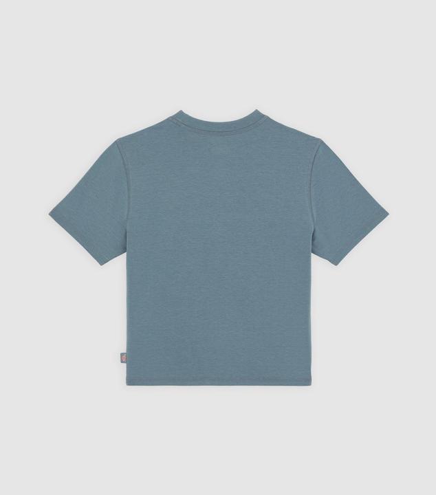 Image du produit Dickies Center Logo Ss Tee W Stormy Weather (M)