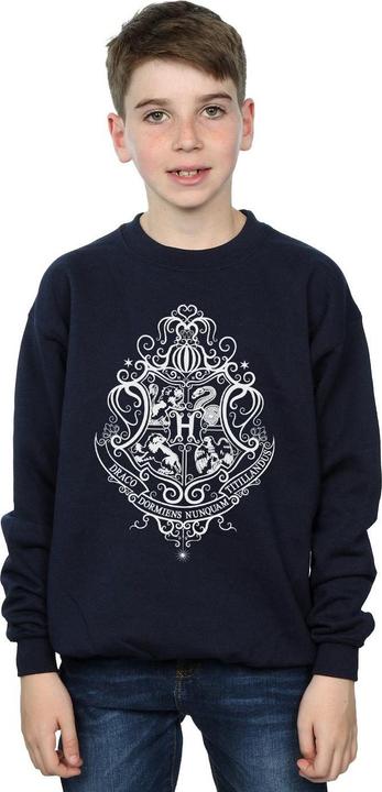 Actual product image Boys Hogwarts Draco Dormiens Crest Sweatshirt (152, 158)