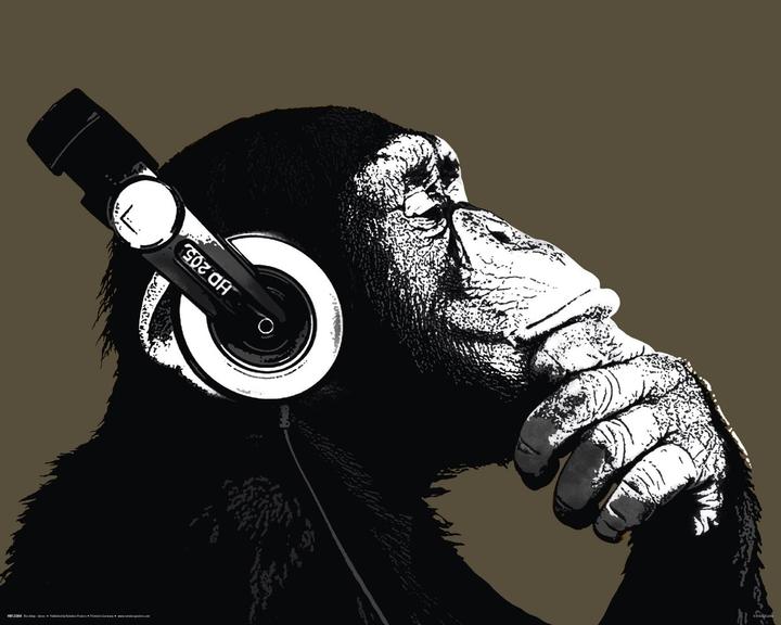 Actual product image Eibert Visual The Chimp stereo (40 x 50 cm)