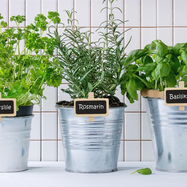 Actual product image Relaxdays Plant Label Clips, Pack of 48 (1.50 cm, 4 cm)