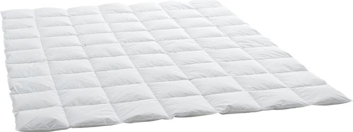 Immagine prodotto Billerbeck Edition Thea Clima Superlight (360 g, 200 x 210 cm)