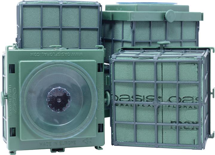 Immagine prodotto Oasis Auto-Corso