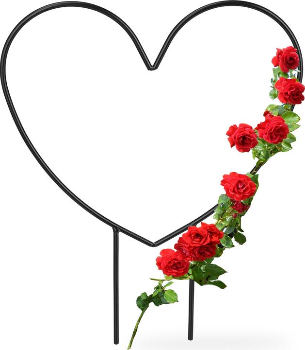 Image du produit Relaxdays Support pour plantes grimpantes Coeur (0.50 cm, 25 cm)