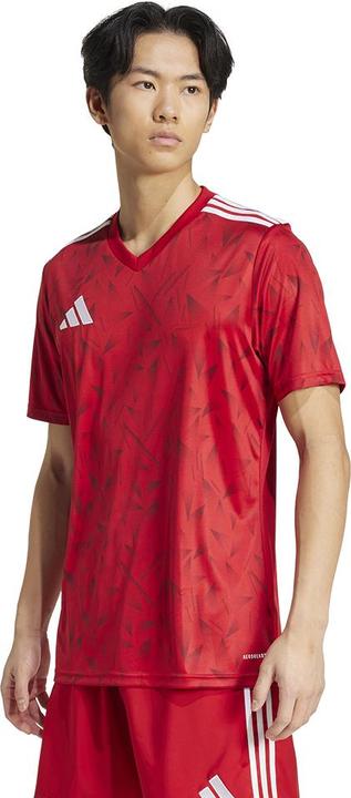 Actual product image adidas Team Icon 25 Jersey (M)