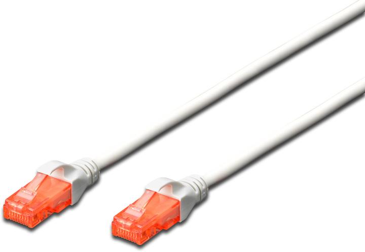 Image du produit Digitus Câble réseau (UTP, CAT6, 0.50 m)
