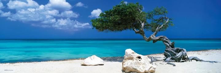 Produktbild Eibert Visual Divi Divi Tree (30 x 90 cm)