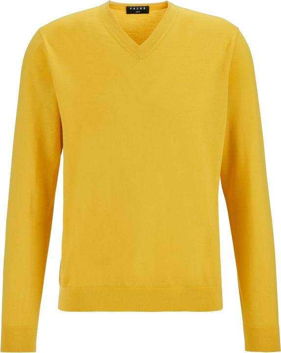 Actual product image Falke Men Pullover (XL)