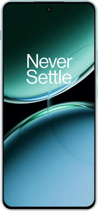 Actual product image OnePlus Nord 4 (256 GB, Oasis Green, 6.74", Dual SIM, 50 Mpx, 5G)