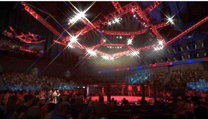 Image du produit EA Games Les succès de la PlayStation : UFC 3 (PS4, DE)