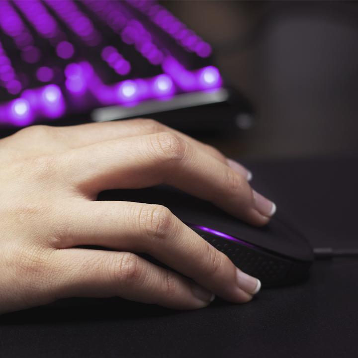 Image du produit SteelSeries Rival 310 (Filaire)