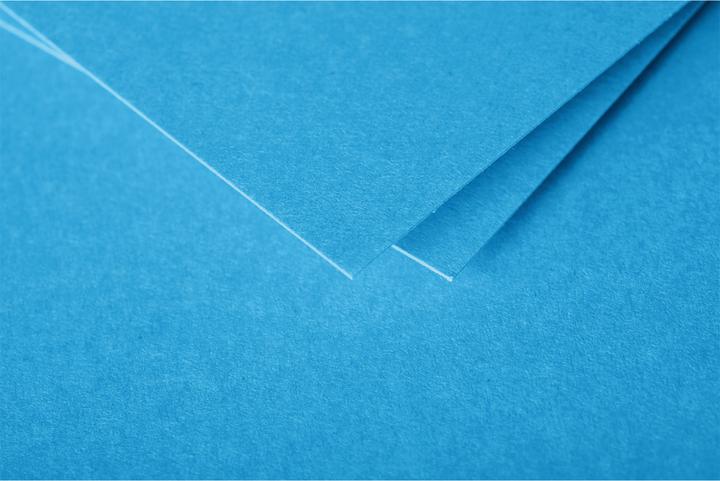 Actual product image Pollen Envelopes (20 x)