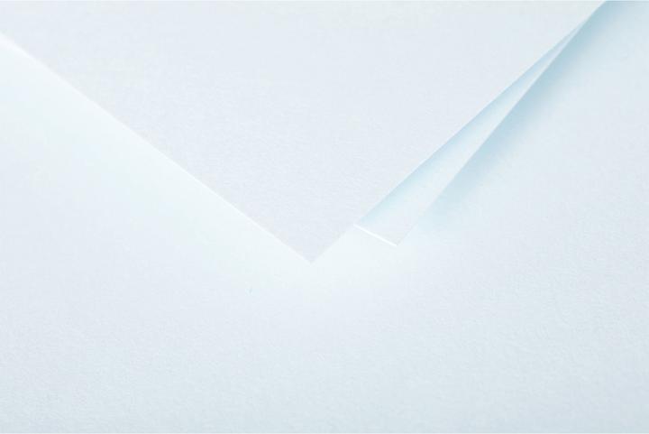 Produktbild Pollen Karten (135 x 135 mm, 10000 x)