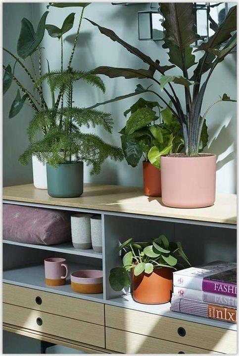 Actual product image Elho B.for soft (16 cm)
