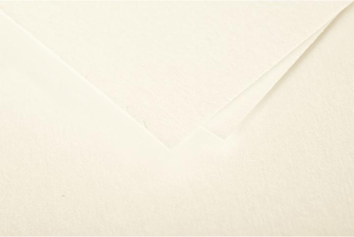 Actual product image Pollen Envelopes (120 x 120 mm, 20 x)