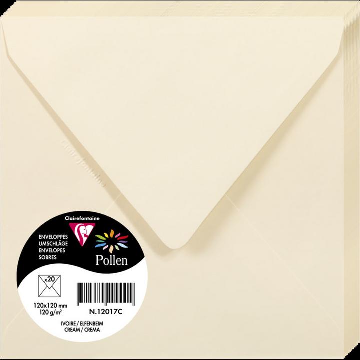 Actual product image Pollen Envelopes (120 x 120 mm, 20 x)
