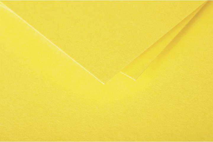 Image du produit Pollen Cartes simple (210 g/m², 25 x, 110 x 155 mm)