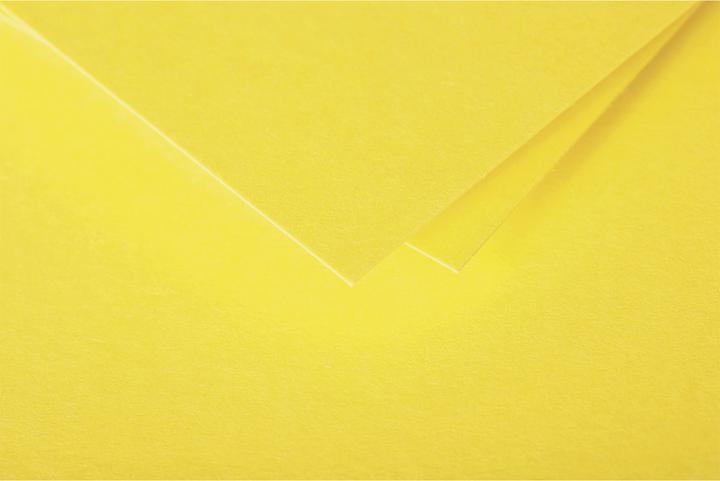 Produktbild Pollen Doppelkarte (210 g/m², 25 x, 110 x 155 mm)