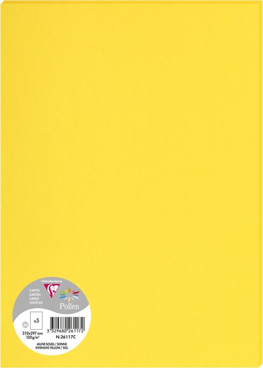 Produktbild Pollen Papier (120 g/m², 600 x, A4)