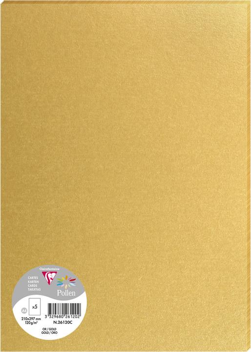 Produktbild Pollen Papier (120 g/m², 600 x)