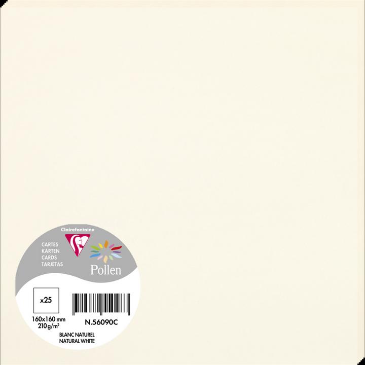 Immagine prodotto Pollen Polline di carte (210 g/m², 25 x, 160 x 160 mm)
