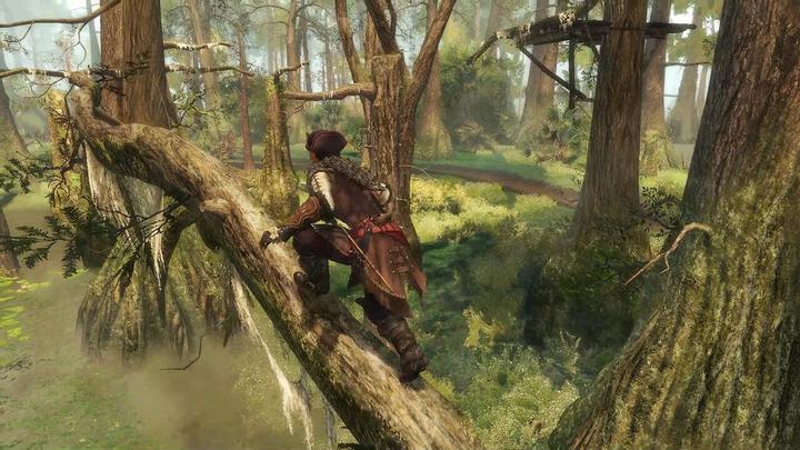 Immagine prodotto Ubisoft Assassin's Creed III (3) + Liberation HD Remaster (Switch, Switch Lite, Switch OLED, EN)