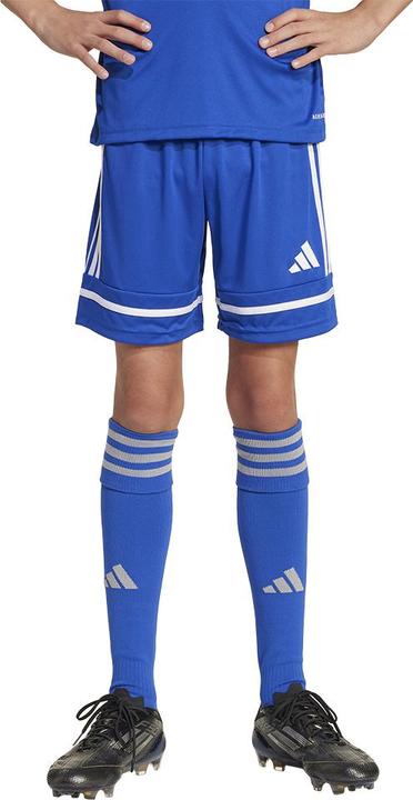 Actual product image adidas Squadra 25 Short Kids (152)