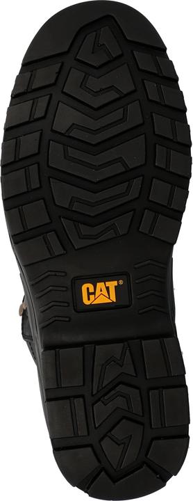 Image du produit Cat Striver (S3, 41)