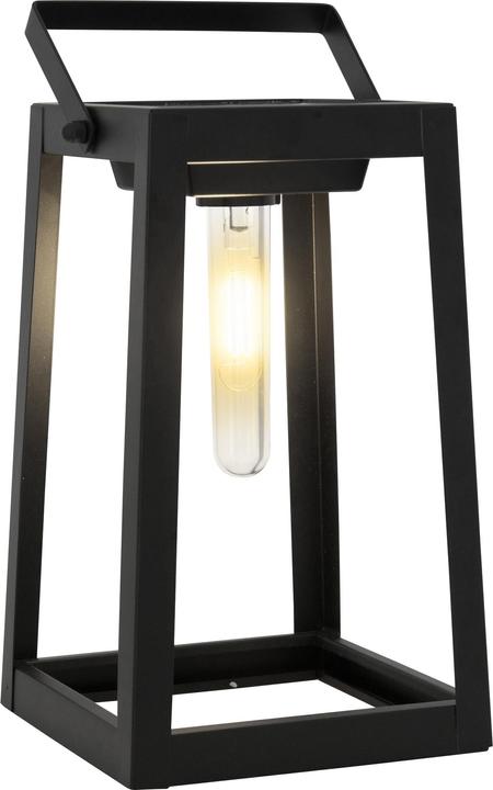 Immagine prodotto Näve Luce solare LED Deco h: 25,5 cm (20 lm, IP44)