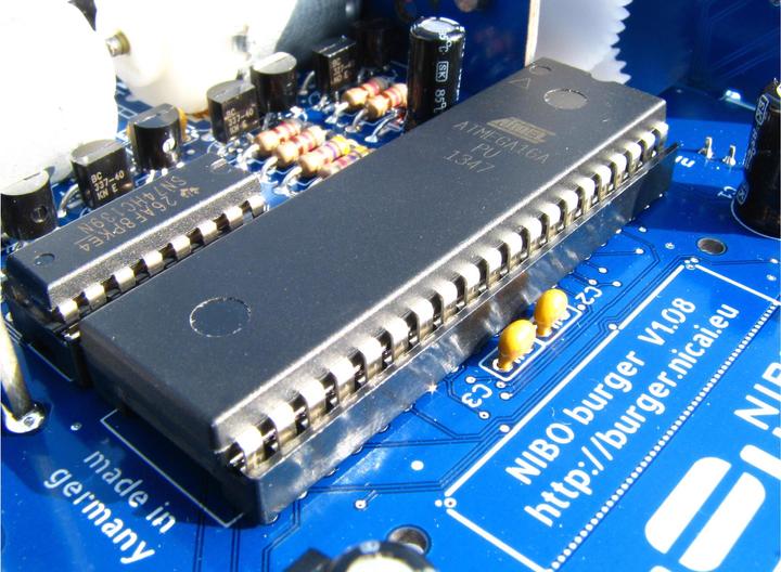 Actual product image Nicai Systems NIBO burger